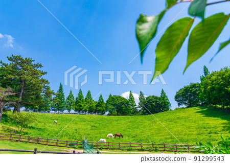 Kuragaike Park, a landscape full of greenery <Toyota City, Aichi Prefecture> Kuragaike Park, a landscape full of greenery <Toyota City, Aichi Prefecture> 91299543