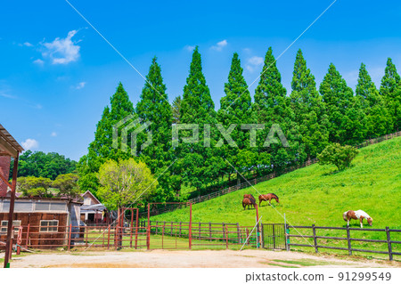 Kuragaike Park, a landscape full of greenery <Toyota City, Aichi Prefecture> Kuragaike Park, a landscape full of greenery <Toyota City, Aichi Prefecture> 91299549