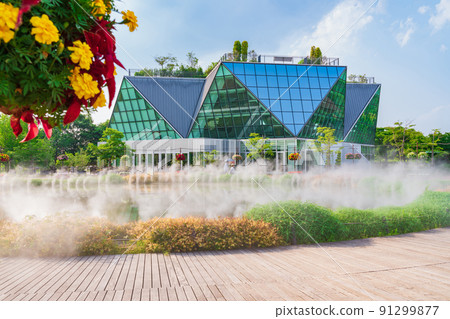 初夏水晶花甲南花卉公園<愛知縣甲南市> 初夏水晶花甲南花卉公園<愛知縣甲南市> 91299877