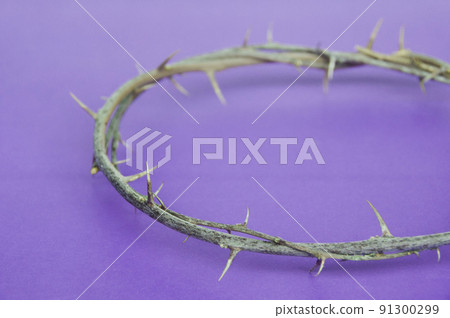 Crown of thorns of Jesus on purple cover background. Christianity concept. Crown of thorns of Jesus on purple cover background. Christianity concept. 91300299