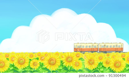 Summer sunflower field scenery, running train, local line, blue sky frame 91300494