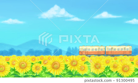 Summer sunflower field scenery, running train, local line, blue sky Summer sunflower field scenery, running train, local line, blue sky 91300495