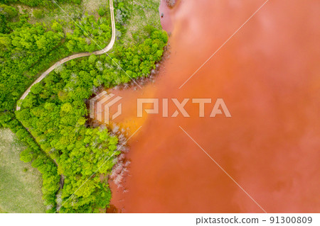 Aerial view of red waste water and green forest Aerial view of red waste water and green forest 91300809