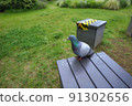 Dove and chair 91302656
