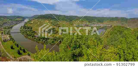 Panoramic view on the wine villages Neef and Bremm 91302799