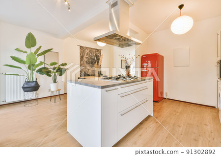 White modern kitchem decorated with large green houseplants White modern kitchem decorated with large green houseplants 91302892