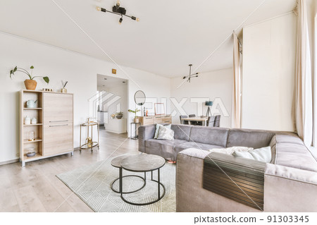 Interior of living room with comfortable sofa and TV against windows in contemporary apartment Interior of living room with comfortable sofa and TV against windows in contemporary apartment 91303345