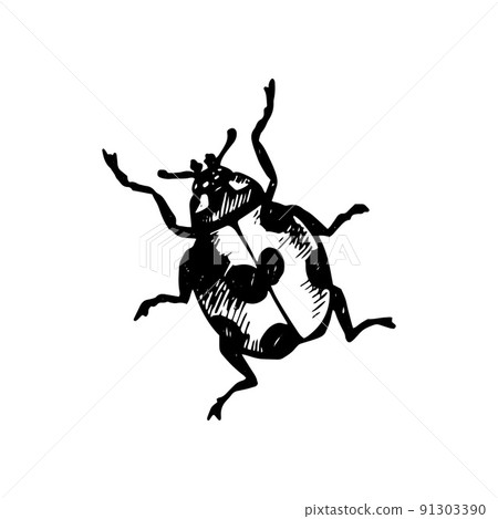 Coccinellidae Icon 91303390