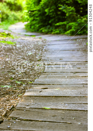 Modern wooden winding eco path, walkway goes far beyond the horizon in a botanical garden, city park, square, forest. Abstract natural green background. Beautiful trail. Summer or spring landscape. Modern wooden winding eco path, walkway goes far beyond the horizon in a botanical garden, city park, square, forest. Abstract natural green background. Beautiful trail. Summer or spring landscape. 91304248