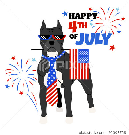 Pitbull dog with american flag illustration Pitbull dog with american flag illustration 91307738