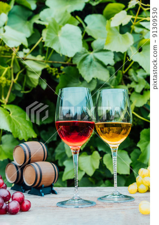 Winery concept. Glasses of white and red wine with miniature wine barrels on the wooden table with grape berries on background of vineyards. Wine tasting, Degustation. Vertical card. Selective focus. Winery concept. Glasses of white and red wine with miniature wine barrels on the wooden table with grape berries on background of vineyards. Wine tasting, Degustation. Vertical card. Selective focus. 91309530