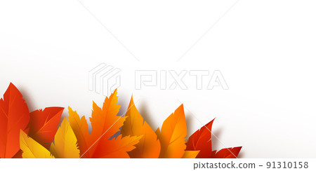 Realistic yellow, red, orange leaves. Autumn foliage on white background 91310158