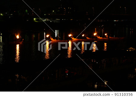 Nagara River Cormorant Total View 91310356