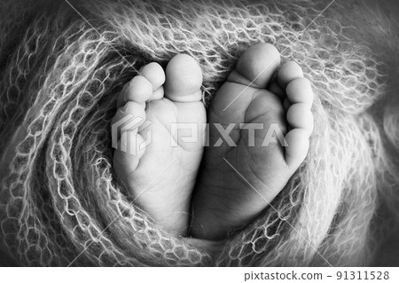Knitted heart in the legs of a baby. Soft feet of a new born in a wool blanket. Close-up of toes, heels and feet of a newborn. Macro black and white photography the tiny foot of a newborn baby. Knitted heart in the legs of a baby. Soft feet of a new born in a wool blanket. Close-up of toes, heels and feet of a newborn. Macro black and white photography the tiny foot of a newborn baby. 91311528