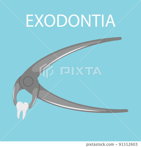 Dental tooth extraction. Exodontia. The tooth in the dental forceps. A white clean tooth is clamped between the forceps. Professional dental instrument. Isolated flat vector illustration. 91312603