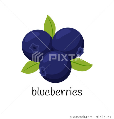 Blueberries with leaves. Three berries. Fruit, berry icon. Flat design. Color vector illustration isolated on a white background. Blueberries with leaves. Three berries. Fruit, berry icon. Flat design. Color vector illustration isolated on a white background. 91315065