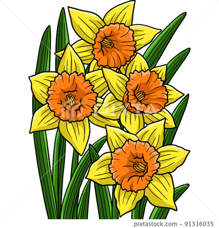 Daffodil Flower Cartoon Colored Clipart 91316035