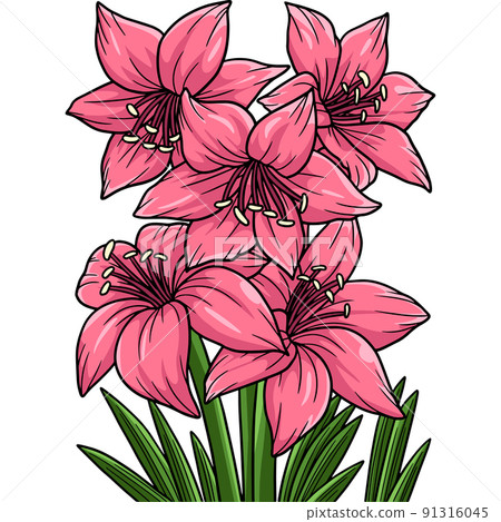 Amaryllis Flower Cartoon Colored Clipart Amaryllis Flower Cartoon Colored Clipart 91316045