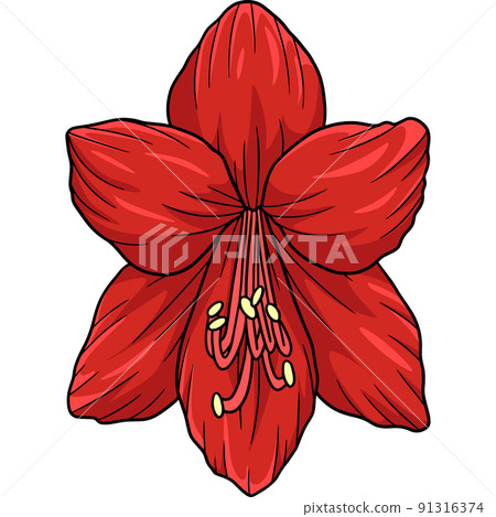 Amaryllis Flower Cartoon Colored Clipart 91316374