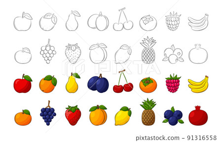 A set of fruits. Black-and-white linear elements and colored ones with an outline. 91316558