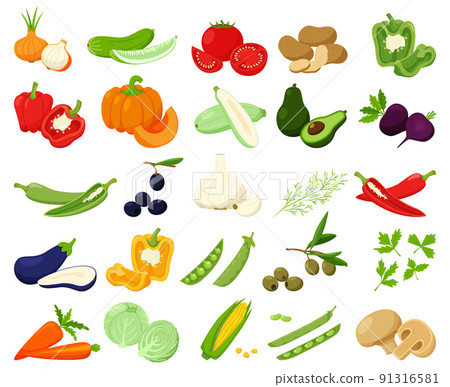 Large set of fresh vegetables, pumpkin, avocado, chili. Whole and half. collection of decorative cliparts for food design, recipes, menus, icons. Flat vector illustration, isolated on white background 91316581