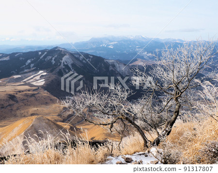 2月 由布嶽山路風景 大分縣由布市由布院町川上 大分縣別府市東山 2月 由布嶽山路風景 大分縣由布市由布院町川上 大分縣別府市東山 91317807