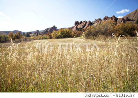 Autumn Rocksborough State Park Colorado 91319187