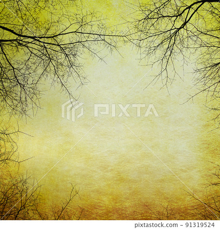 Frame of winter trees Frame of winter trees 91319524