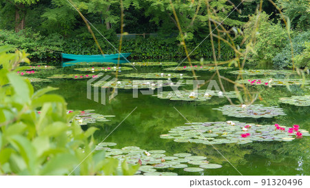 Many water lily flowers in Monet's garden in Kochi prefecture Many water lily flowers in Monet's garden in Kochi prefecture 91320496