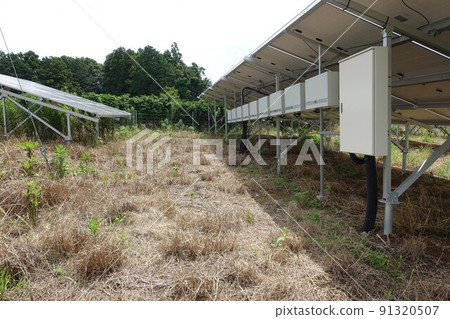 噴灑除草劑後雜草死亡的太陽能發電廠 噴灑除草劑後雜草死亡的太陽能發電廠 91320507