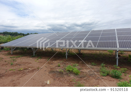 Solar power plant where weeds have died after spraying herbicides 91320518