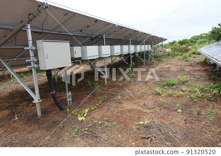 噴灑除草劑後雜草死亡的太陽能發電廠 91320520