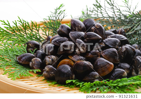 竹濾鍋上的新鮮淡水蛤蜊 91321631