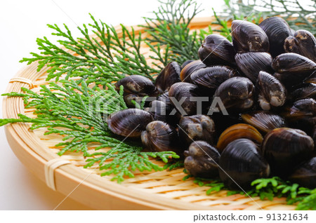 竹濾鍋上的新鮮淡水蛤蜊 竹濾鍋上的新鮮淡水蛤蜊 91321634