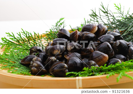 竹濾鍋上的新鮮淡水蛤蜊 91321636
