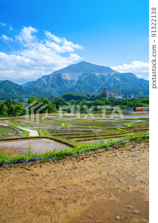 寺坂梯田和武子山水稻種植季節 新鮮的綠色風景 91322138