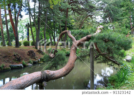 Morioka Castle Site Park, Tsurugaike Morioka Castle Site Park, Tsurugaike 91323142