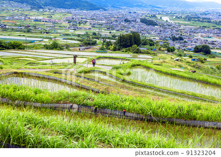 水稻梯田步行 1 水稻梯田步行 1 91323204