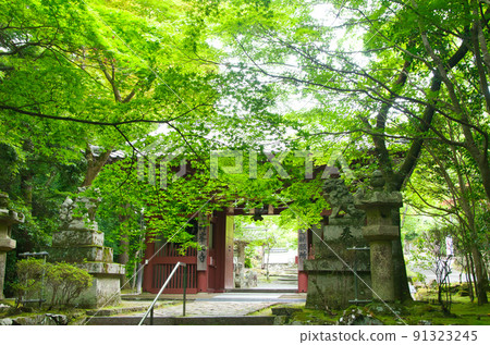 Kabusanji Temple (Sanmon [Niomon]) [Takatsuki City, Osaka Prefecture] 91323245