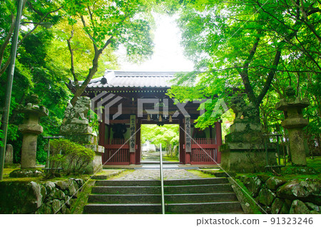 Kabusanji Temple (Sanmon [Niomon]) [Takatsuki City, Osaka Prefecture] 91323246