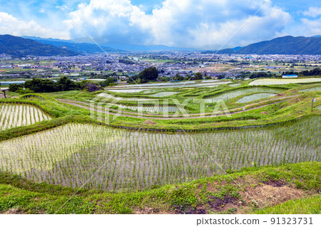 廢棄的稻田和景色 1 91323731