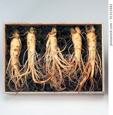 Ginseng 91323882