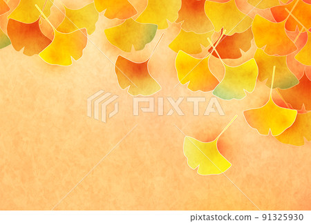 Autumn leaves ginkgo autumn background Autumn leaves ginkgo autumn background 91325930