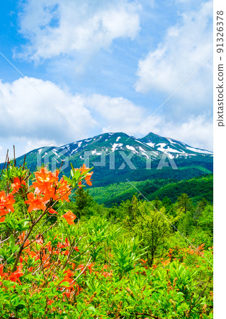 初夏的乘倉山（來自一之瀨） 91326378