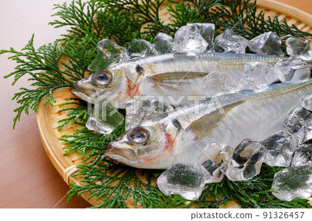 Fresh horse mackerel on a bamboo colander 91326457
