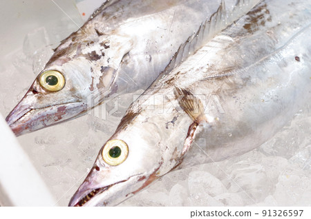 Hairtail in the fresh fish corner 91326597