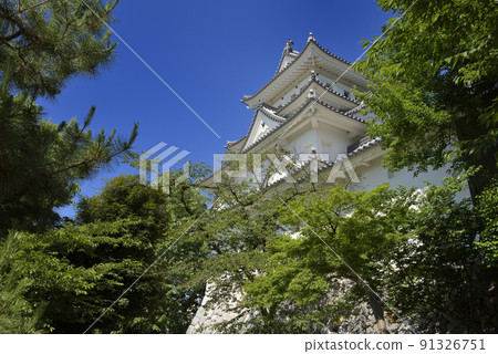 Ogaki Castle castle tower (Ogaki City, Gifu Prefecture) 91326751