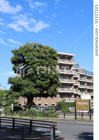 Sakai tree position trace 91327103