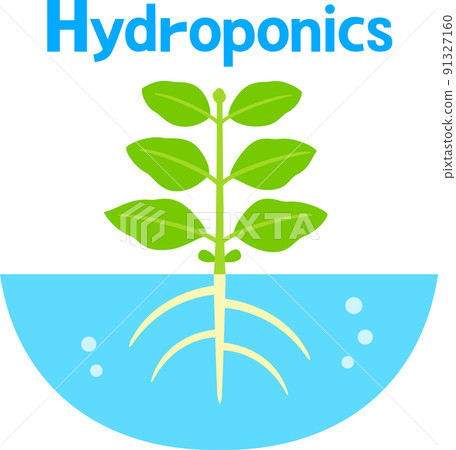 Image of hydroponics 91327160