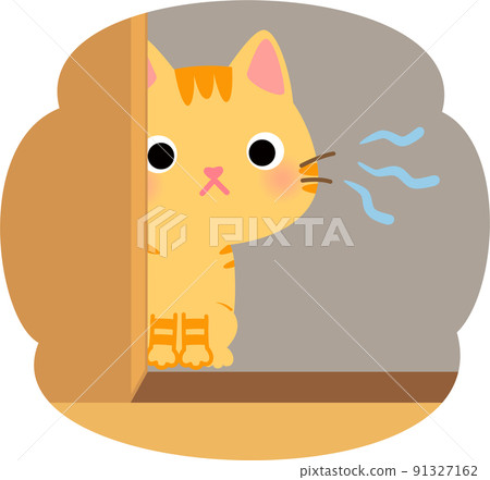 A tabby cat looking at the situation from the shadow A tabby cat looking at the situation from the shadow 91327162